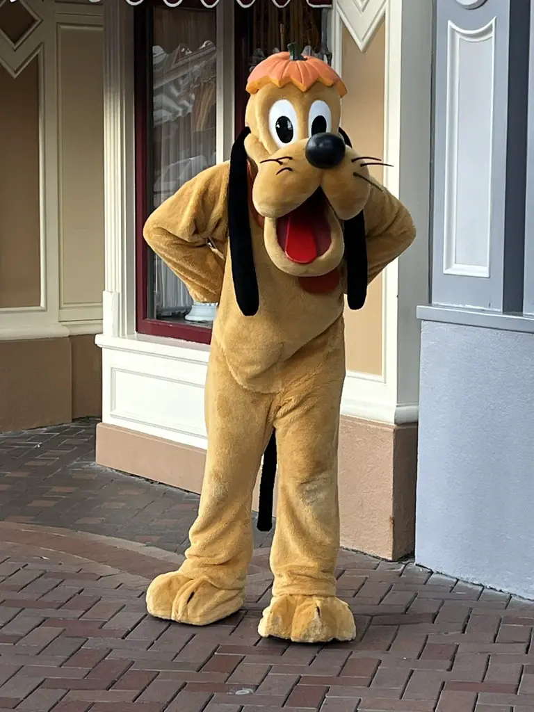 Pluto New Halloween Costume at Disneyland Park 